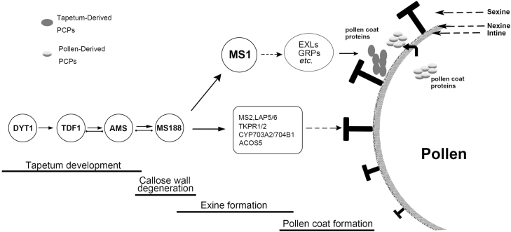 Fig. 7.