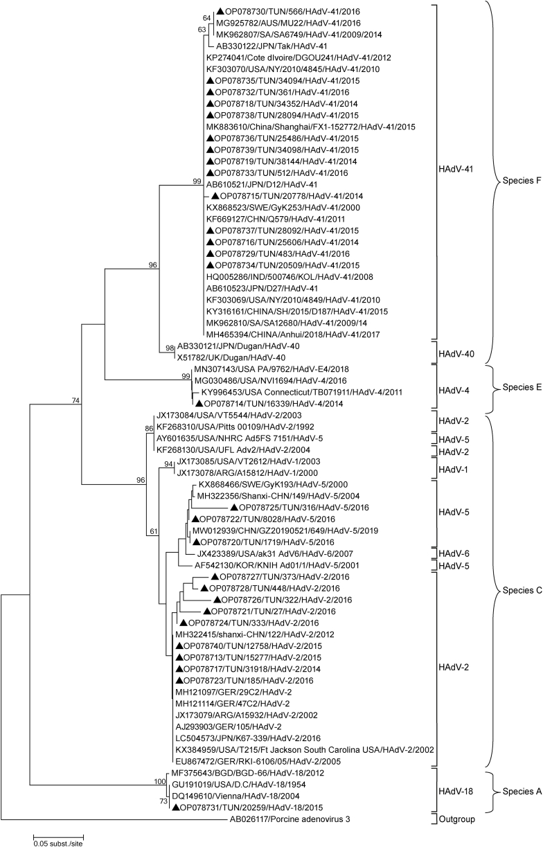 Fig. 3