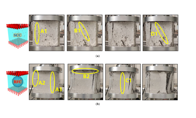 Fig. 10