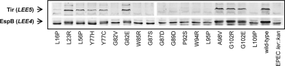 FIG. 6.