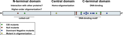 FIG. 8.