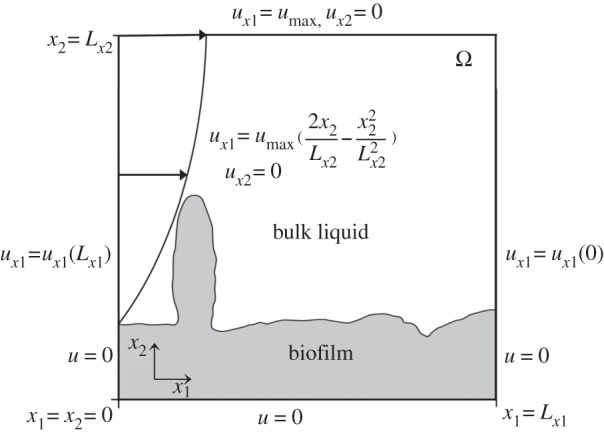 Figure 4.