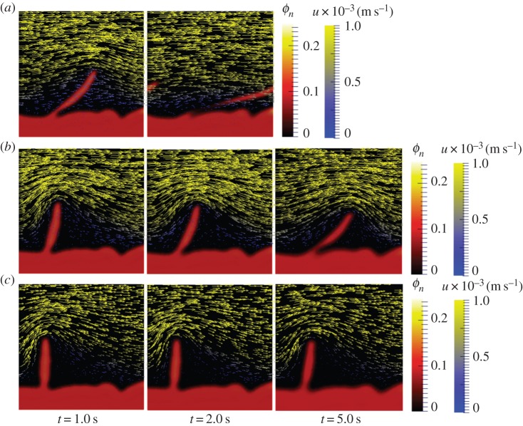 Figure 5.