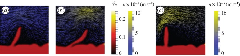 Figure 7.