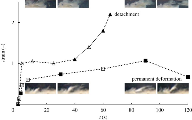 Figure 2.