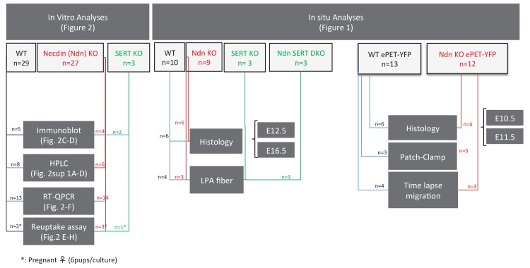 Figure 2—figure supplement 3.