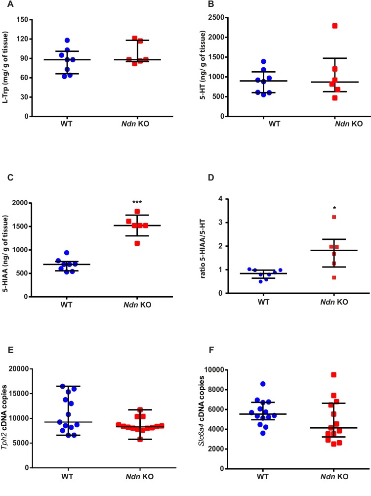 Figure 2—figure supplement 1.