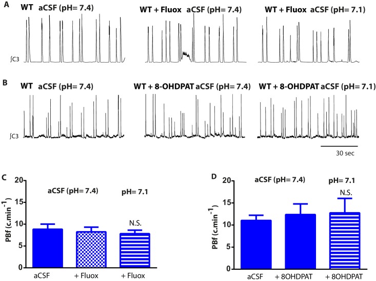 Figure 4—figure supplement 2.