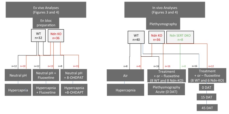 Figure 4—figure supplement 3.