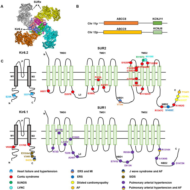 Figure 1: