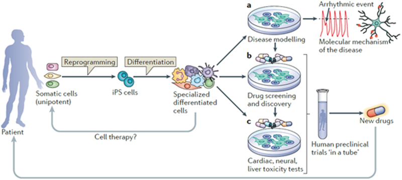 Figure 1.