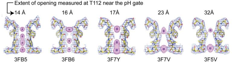 Fig. 7