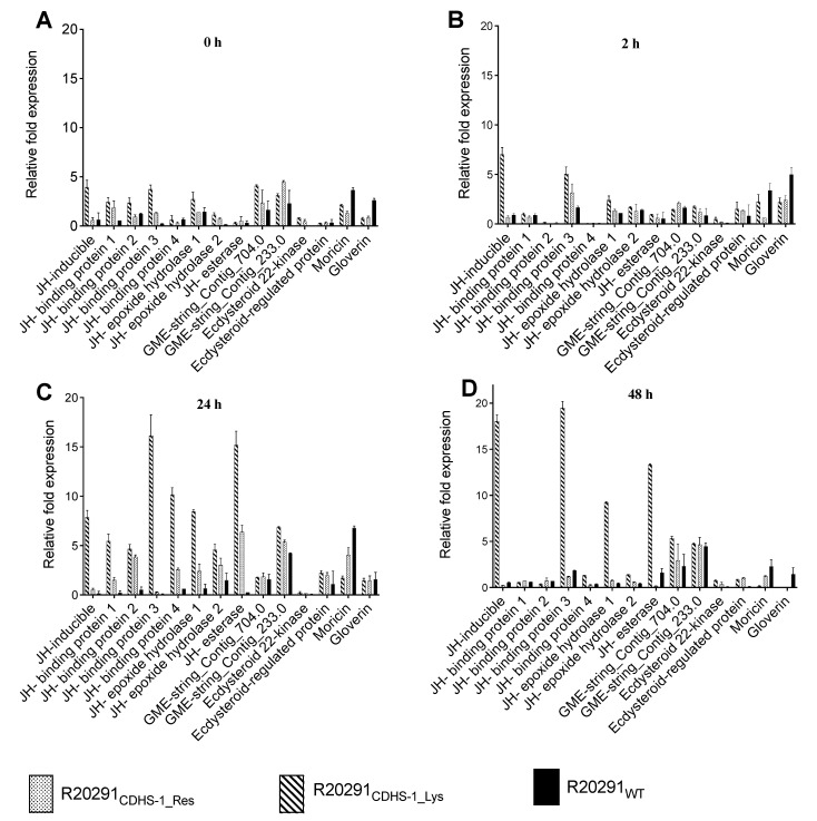 Figure 4