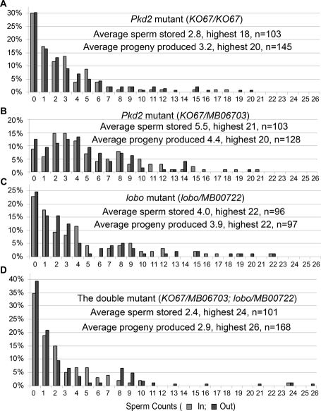 FIGURE 6: