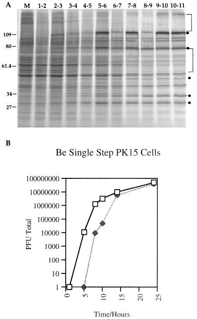 FIG. 7