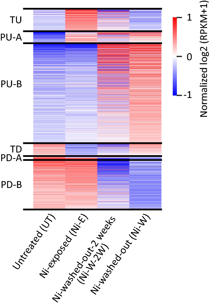 Fig. 7