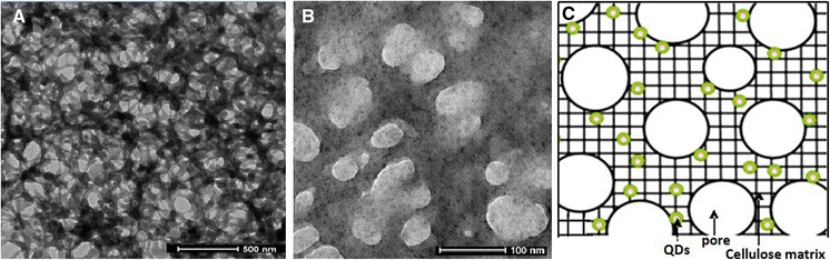 Fig. 7