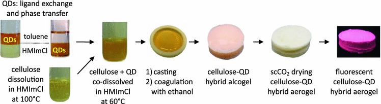 Fig. 1