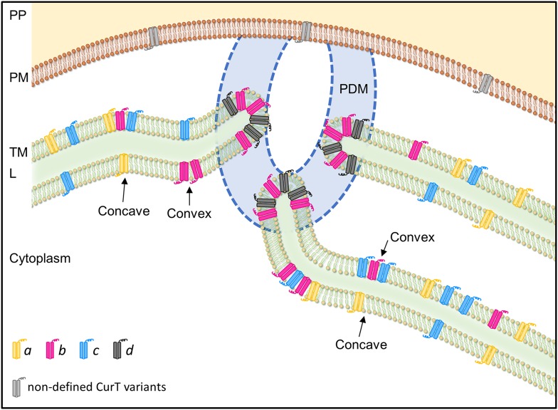 Figure 13.