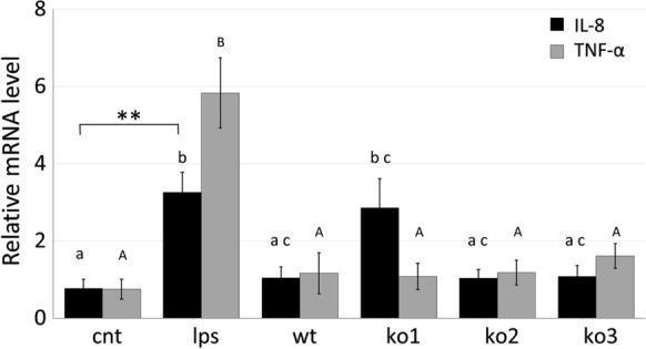 Fig. 3