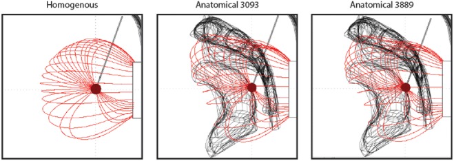 Fig. 5