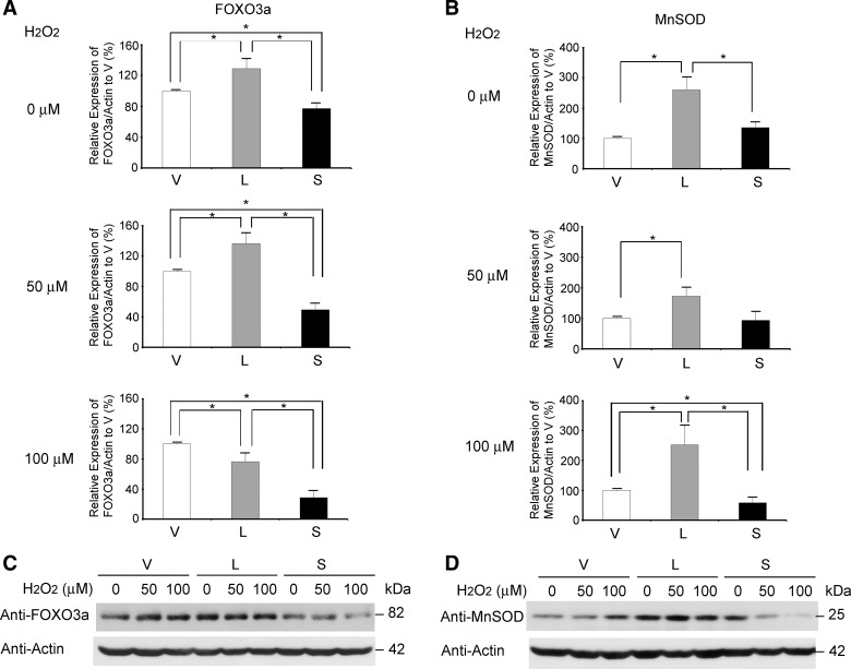 Fig. 11.