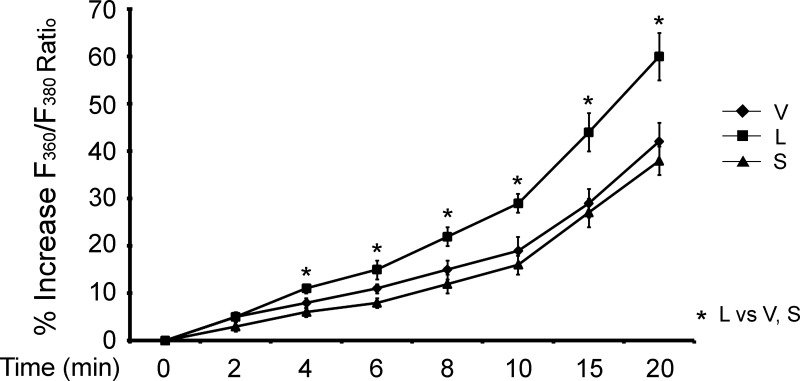 Fig. 10.