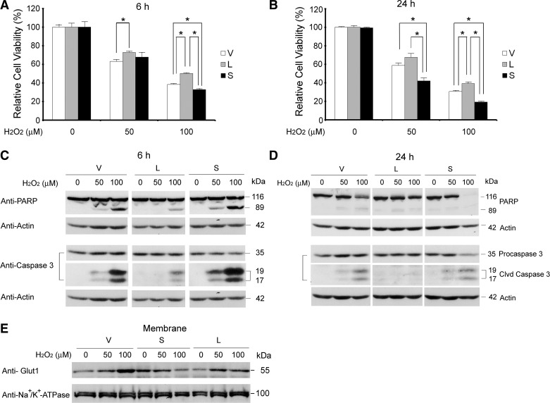 Fig. 9.