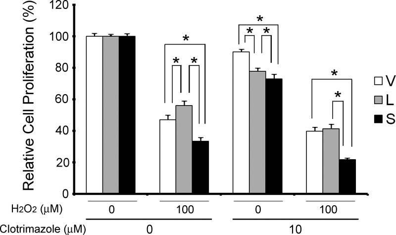 Fig. 13.