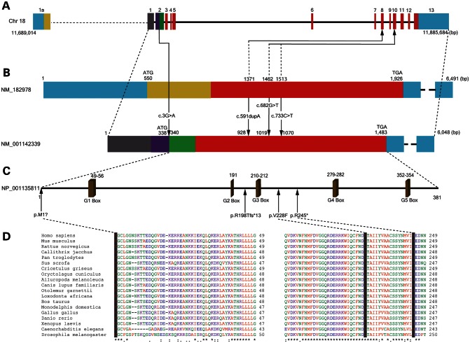 Figure 2.