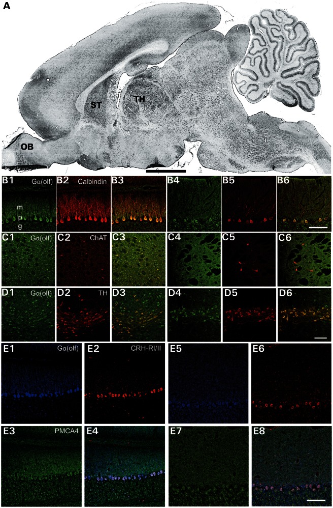 Figure 3.