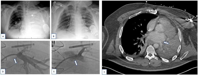 Figure 3: