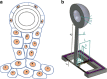 Fig. 1