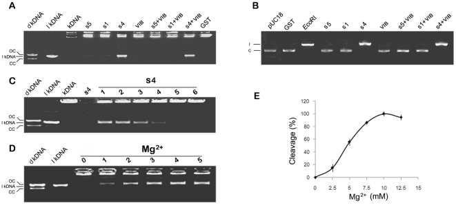 Figure 5