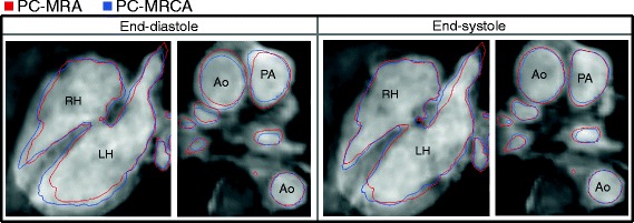 Fig. 5