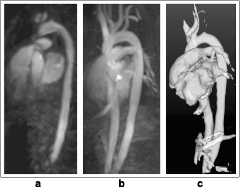 Fig. 7