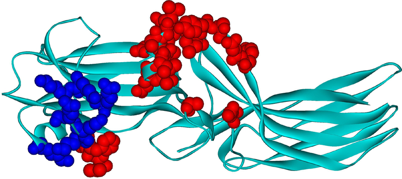 Fig. 3.