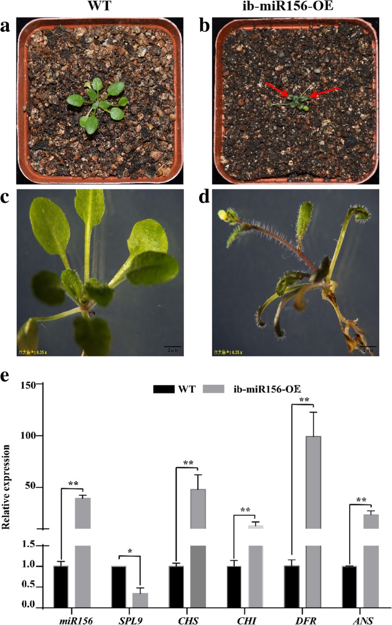 Fig. 10