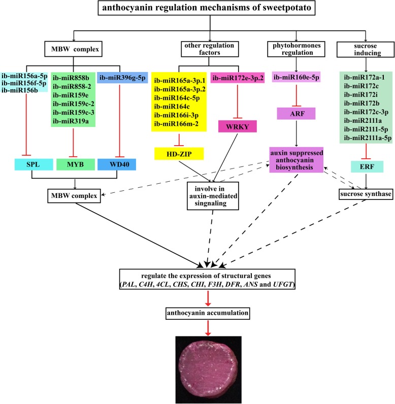 Fig. 11