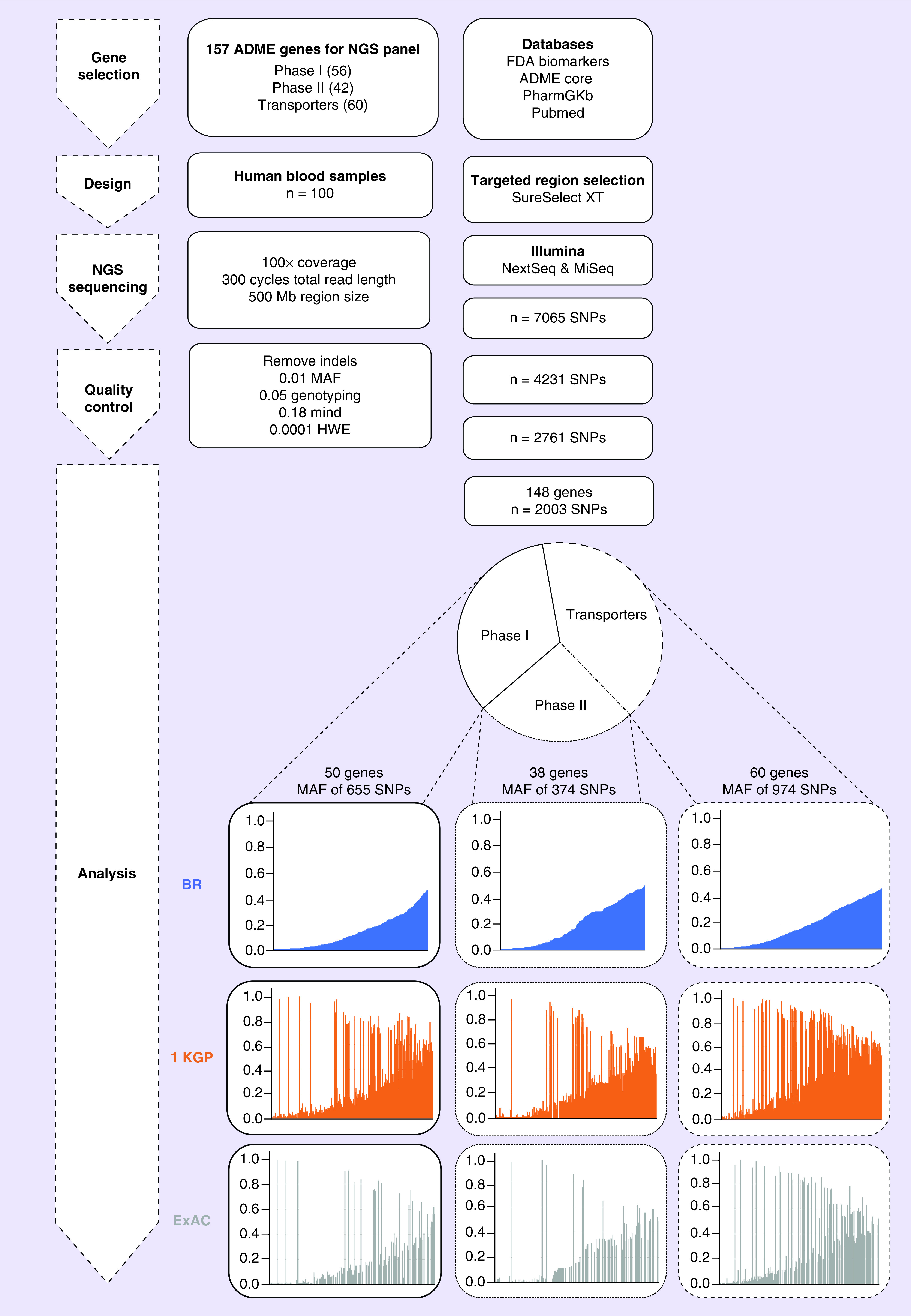 Figure 1.  