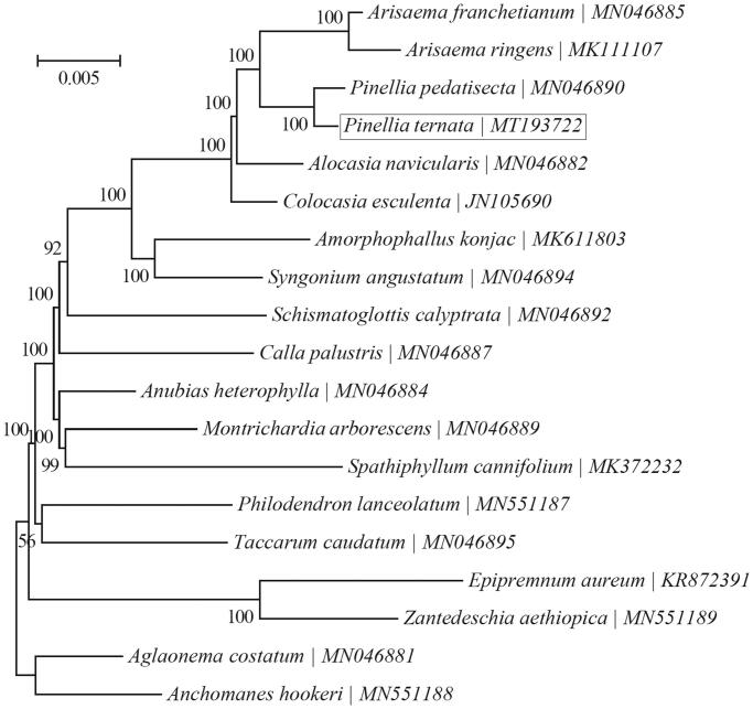 Figure 1.