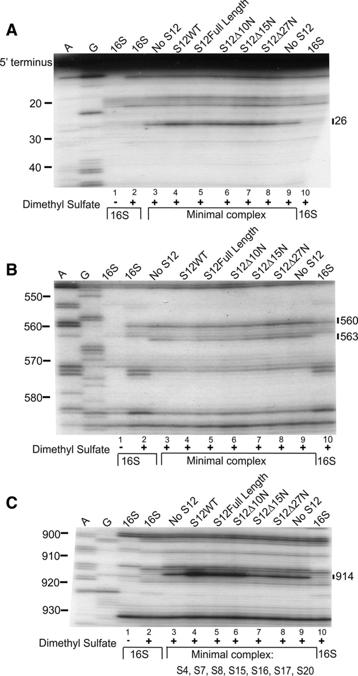 FIGURE 3.