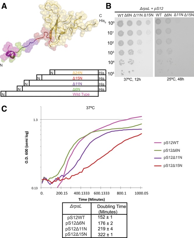 FIGURE 4.