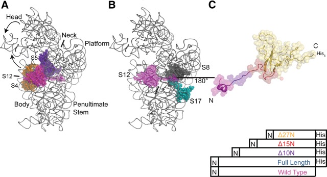 FIGURE 1.