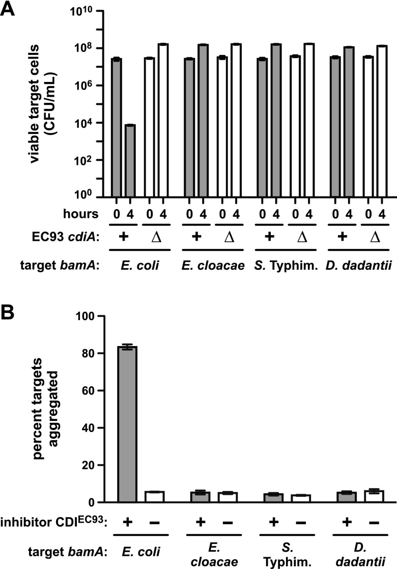 FIG 4 