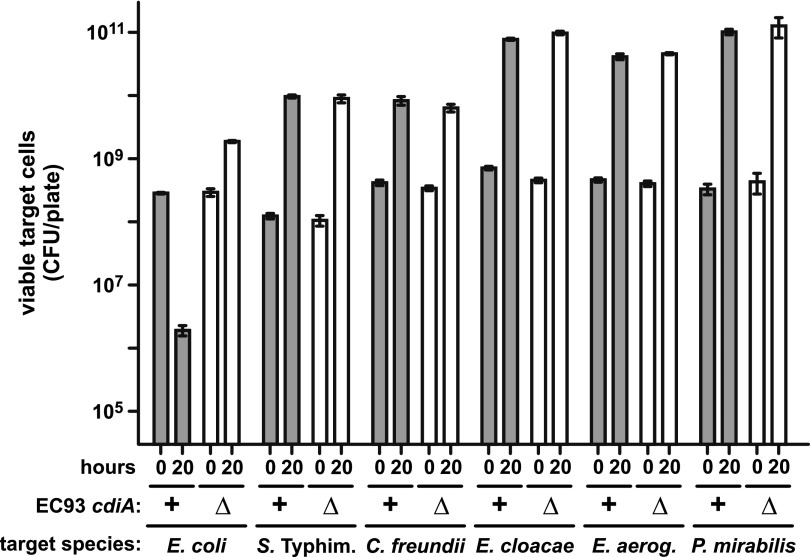 FIG 1 