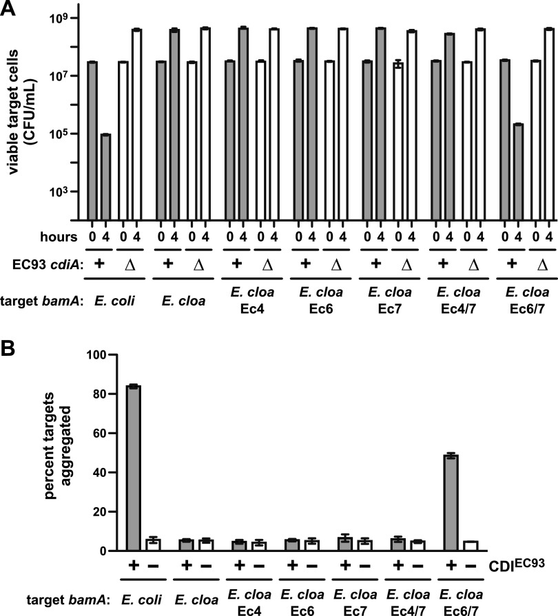 FIG 6 