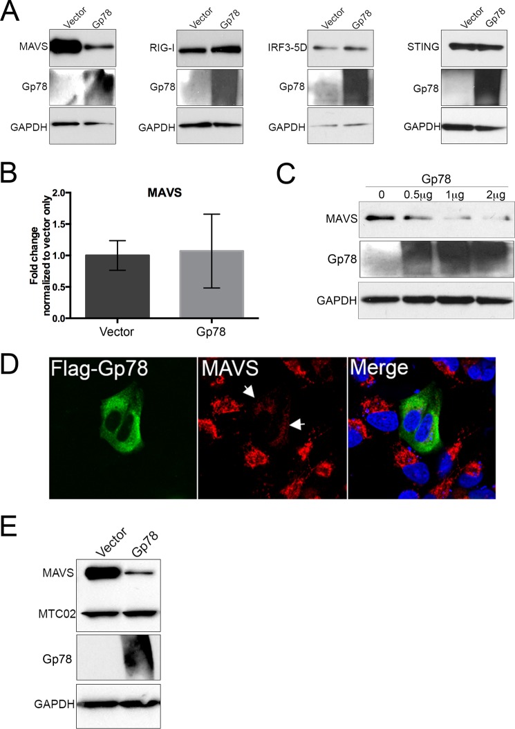 FIGURE 4.