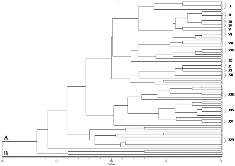 Fig. 2