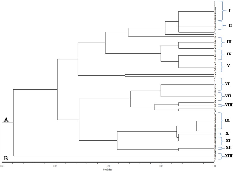 Fig. 1